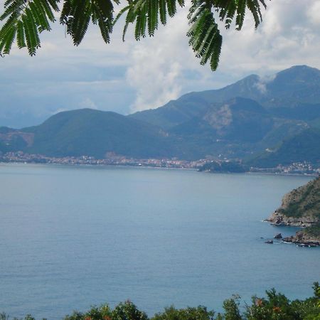 Boutique Home Saltaragazza Petrovac Eksteriør bilde