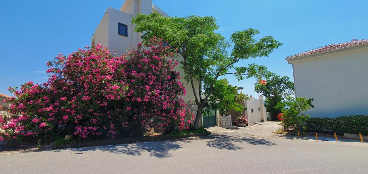 Boutique Home Saltaragazza Petrovac Eksteriør bilde