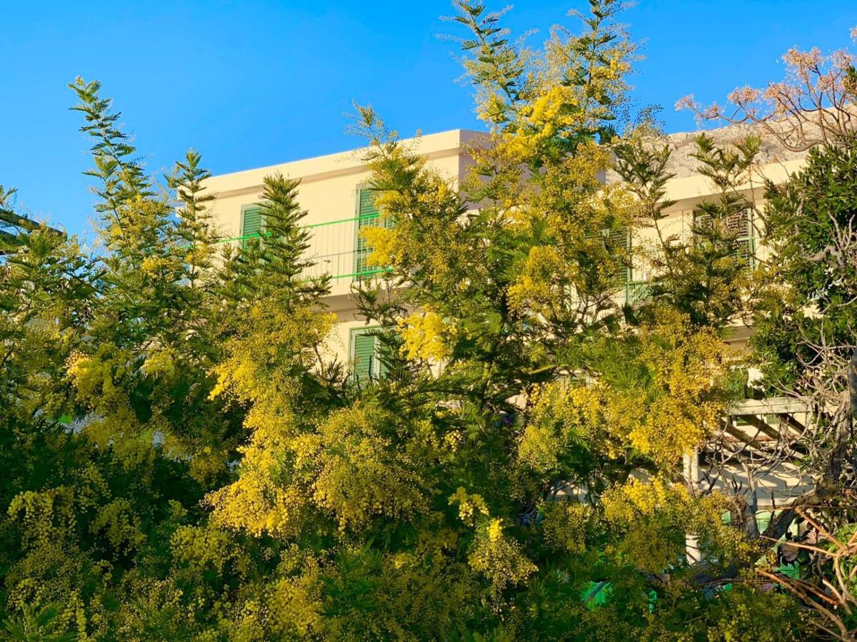 Boutique Home Saltaragazza Petrovac Eksteriør bilde