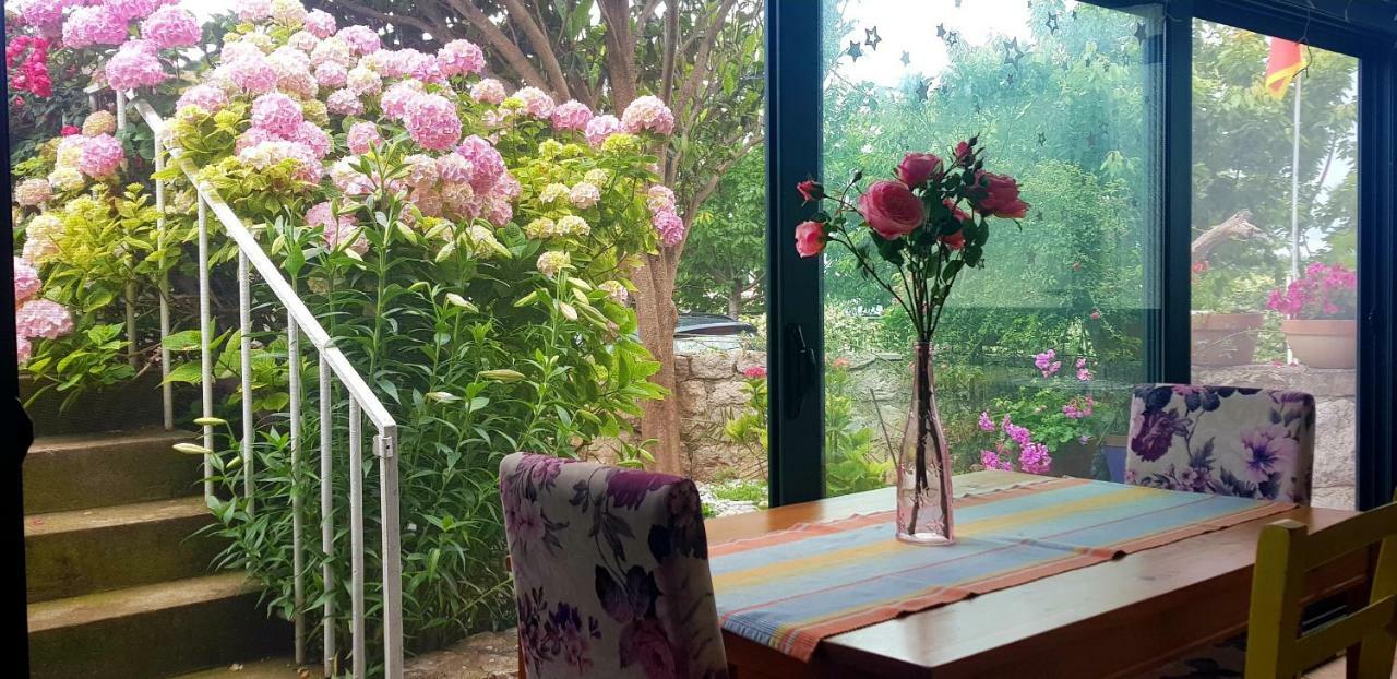 Boutique Home Saltaragazza Petrovac Eksteriør bilde