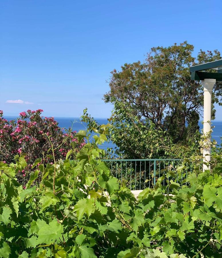 Boutique Home Saltaragazza Petrovac Eksteriør bilde